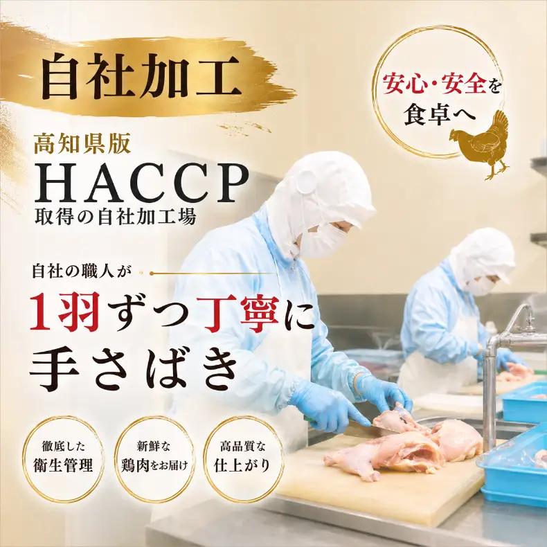 地鶏 土佐ジロー 【10月発送】 1羽 ( 正肉 肝 がら ) 卵 10個 セット 地鶏