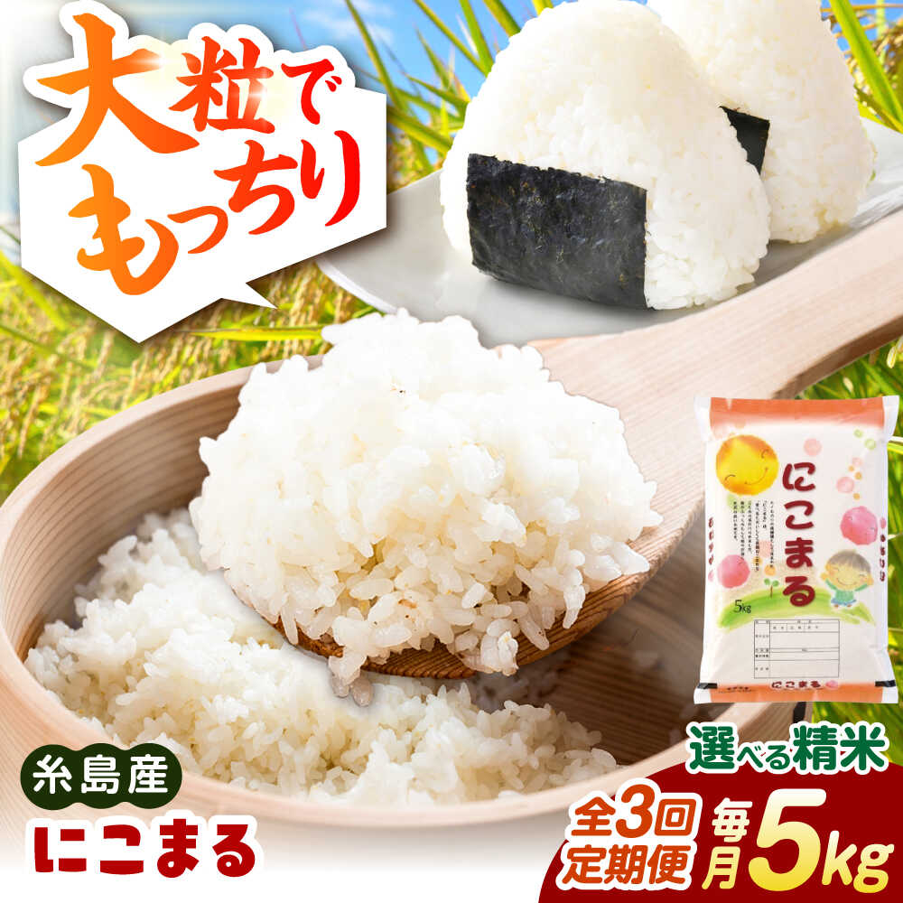 【ふるさと納税】【全3回定期便】【精米方法が選べる！】にこまる 5kg（5kg×1袋） 糸島市 / 玄米・精米専門店 新飼宗一郎商店[ADE022] 白米 玄米 常温4万円40000円