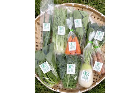 朝採り新鮮！有機野菜セット詰合せ（7～9種類）3回コース【定期便】 定期便 採れたて 産地直送 葉物 有機JAS認証 野菜セット 旬の野菜 野菜【1908】