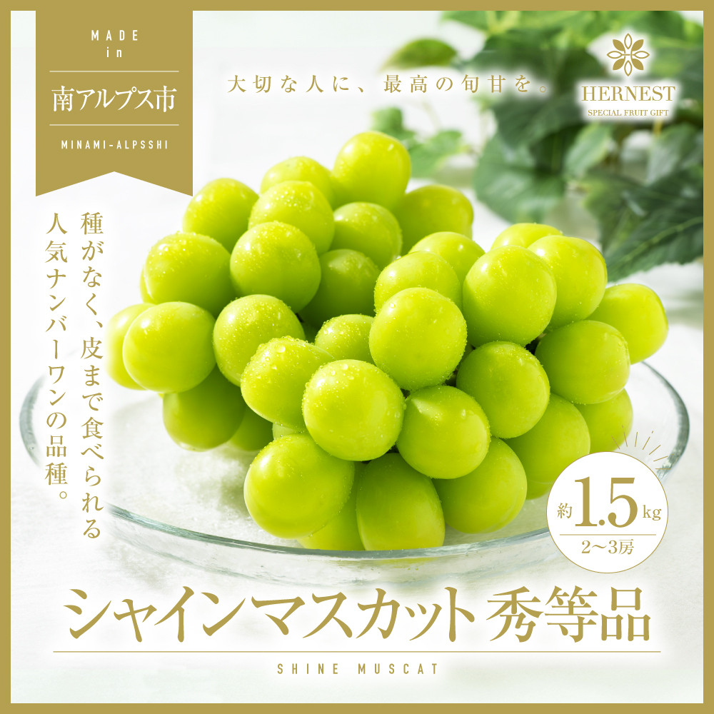 
                  ＜2026年発送分先行予約＞山梨県南アルプス市産シャインマスカット　秀等品　約1.5ｋｇ　2～3房 ALPAH016
                