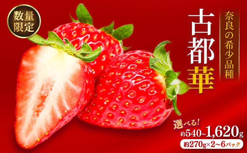 
                  いちご ことか 約540~1620g 1パック約270g 古都華 先行予約 2027年発送 数量限定 産地直送 旬 冷蔵 イチゴ 苺 フルーツ 果物 スイーツ 小分け ブランドいちご 甘い おすすめ 贈答 プレゼント ギフト 奈良県 奈良市 のぼるちゃんファーム
                