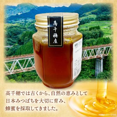 ふるさと納税 高千穂町 日本みつばち 高千穂の純粋蜂蜜 245g×1本 |  | 01