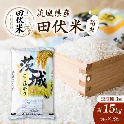 ふるさと納税 かすみがうら市 【毎月定期便】新米 田伏米のコシヒカリ 5kg全3回 | お米 こしひかり 茨城県かすみがうら市産