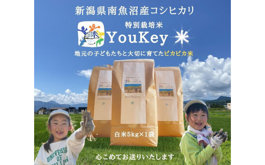 
新潟県南魚沼産　特別栽培米 「YouKey 米」 5kg（精米）
