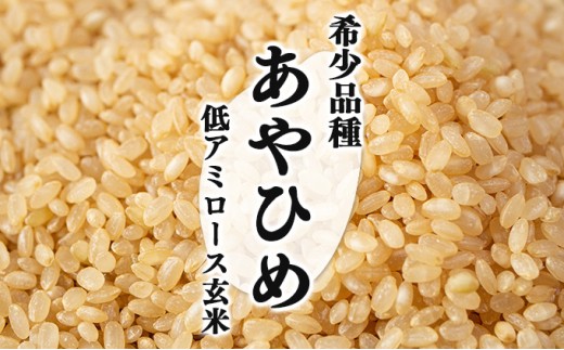 令和7年産 北海道岩見沢市産 あやひめ玄米5kg≪沖縄・離島配送不可≫ [a124-030-R7] 5kg×1袋