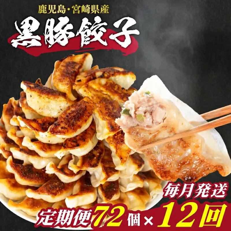 訳あり 黒豚餃子 72個 定期便 毎月12回 餃子 ギョウザ IB