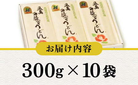 【五島うどんランキング1位！】五島手延べうどん 300g×10袋 うどん 乾麺 麺 五島うどん【江口製麺】[RBO009]