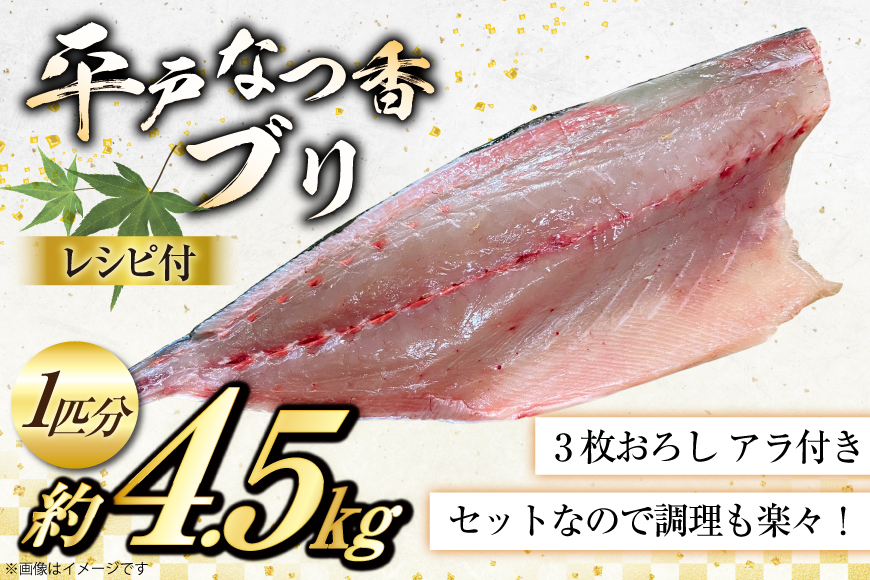 ぶり 刺身 平戸なつ香 ブリ 丸々 1匹 約4.5kg 3枚おろし アラ付き セット [坂野水産 長崎県 平戸市 hr42bgy420503] 鰤 魚介 さかな 刺身用 さしみ 冷蔵 おかず フルーツ