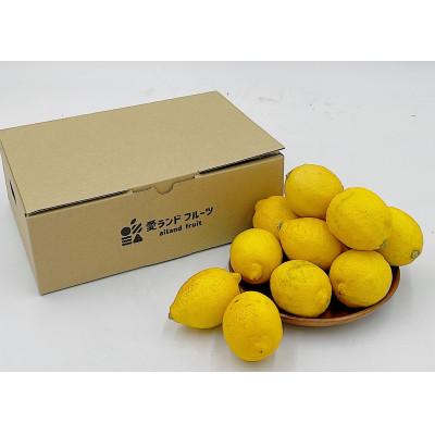 ふるさと納税 松山市 中島産　レモン　1.5kg