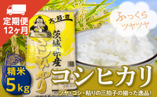 
【定期便】コシヒカリ（5Kg×12ヶ月） 新生活 プレゼント 新生活応援 必要なもの 便利 おすすめ 消耗品 一人暮らし 二人暮らし 必要
