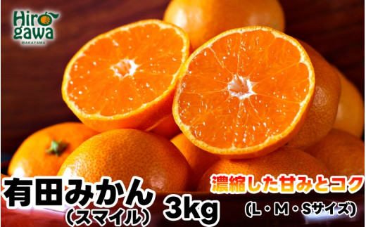 
                  有田みかん 3kg 秀品【sml004-r-3A】
                