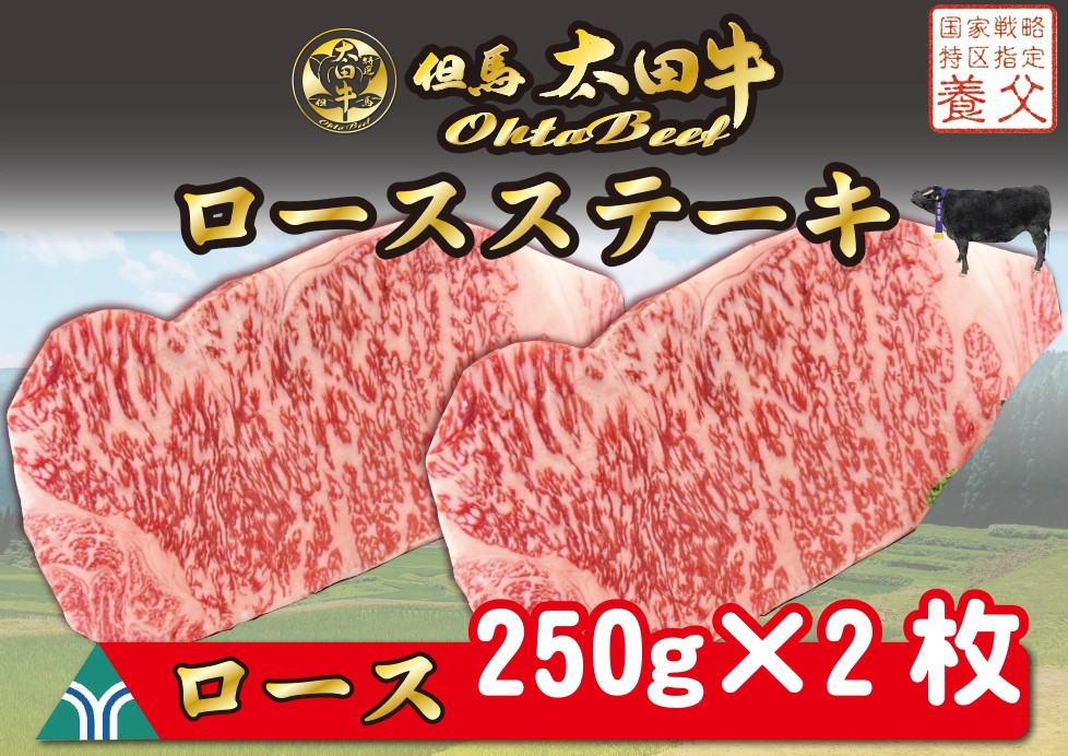 
            【2025年1月20日以降発送】但馬　太田牛　ロースステーキ【OST3】ふるさと納税　ロース　ステーキ用　冷凍　但馬牛　神戸牛　ブランド和牛　和牛　国産　兵庫県　神戸　但馬　養父　養父市　チョイス限定　太田家　太田畜産　太田牧場
          