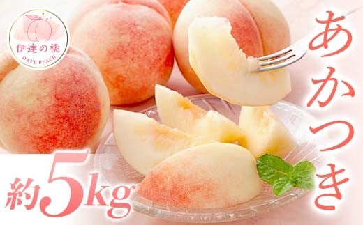 福島県産 あかつき 約5kg 2025年7月下旬～2025年8月中旬発送 2025年出荷分 先行予約 青果店厳選 予約 伊達の桃 桃 もも モモ 果物 くだもの フルーツ 名産品 国産 食品 冷蔵 F20C-668