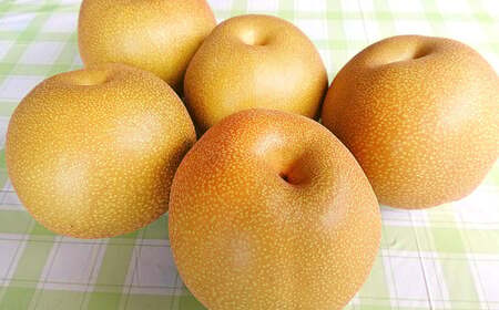 九重町産 梨 約2.7kg 豊水 新高 果物 フルーツ 大分県産 【2025年9月上旬-10月上旬発送予定】