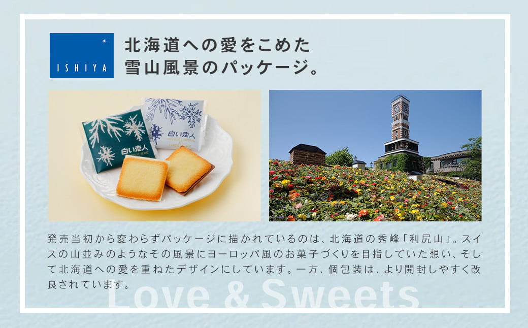 白い恋人 36枚缶入 (ホワイト:27枚、ブラック:9枚) ラングドシャ クッキー チョコ お菓子 おやつ 北海道 北広島市