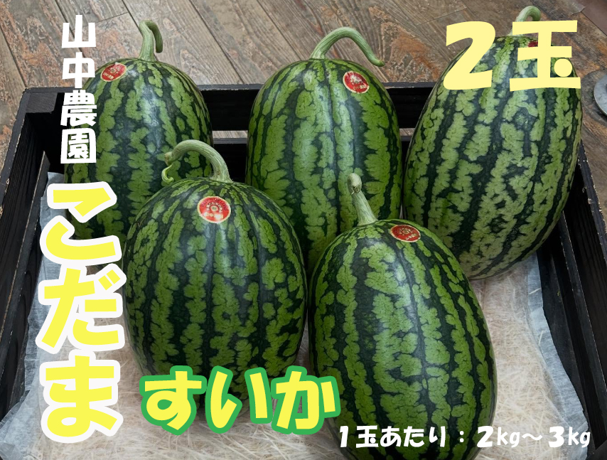 103004　山中農園の小玉すいか２玉
