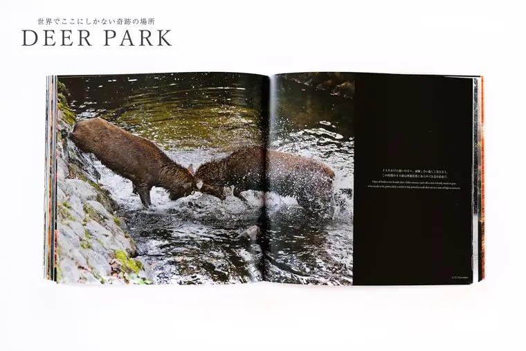 奈良の鹿 写真集「DEER PARK 世界でここにしかない奇跡の場所」奈良公園 サイン入り KAZUTO PHOTO OFFICE 佐藤和斗 I-193