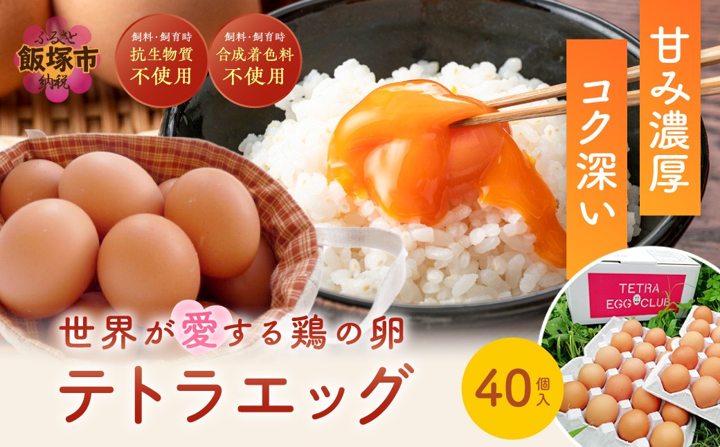 
テトラエッグ40個入【A5-459】
