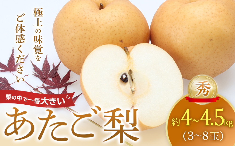 305.あたご梨　秀　約4kg以上～4.5kg未満（3～8玉前後）◇　※2025年11月下旬～2026年2月中旬頃に順次発送予定 313726_AN075