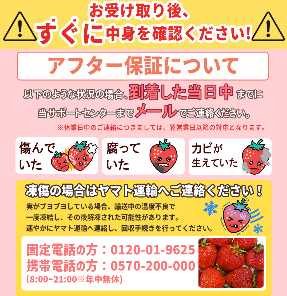 2S3-S 福岡県産あまおう【280g×2パック】