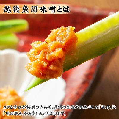 ふるさと納税 南魚沼市 無地熨斗 新潟県 南魚沼産 こだわり味噌1kg & 越後魚沼味噌1kg 木津醸造所 食べ比べ セット |  | 02