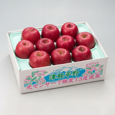 【ふるさと納税】【令和7年産・先行予約】糖度13度選果 サンふじ 約2.5kg 鮮度保持剤・保存用ポリ袋付【配送不可地域：離島・沖縄県】【1508214】