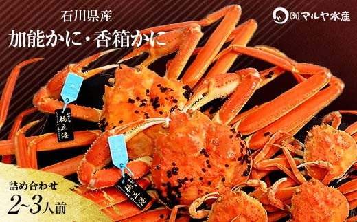 
            【時期が選べる】【先行予約】【冷蔵発送】石川県産 加能かに ズワイガニ ( 産地証明タグ付 ) 中サイズ 2匹 + 香箱かに 3匹 詰合せ ( 2～3人前 ) 食べ比べセット ズワイガニ ずわいがに 産地証明 先行予約 予約 ボイル 茹で 蟹 かに 復興 震災 コロナ 能登半島地震復興支援 北陸新幹線 F6P-0911 クラウドファンディング 実施中 GCF
          