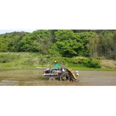 ふるさと納税 佐渡市 【令和7年産米】＜無洗米＞食味鑑定コンクール金賞　佐渡産コシヒカリ15kg(5kg×3) |  | 03