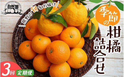 
            【 定期便 ３回】 みかん ②自然塾 季節の柑橘詰合せ 柑橘 果物 旬 温州みかん 不知火 ポンカン カラマンダリン【szjk-tkb0002】
          