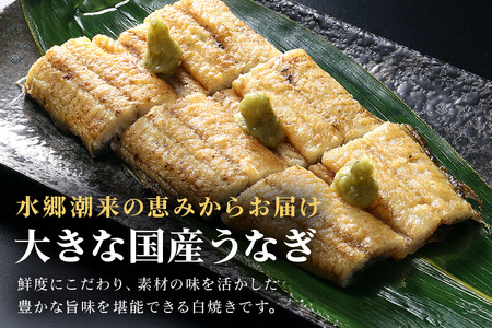 増田川魚店うなぎ白焼＜特上2本＞ うなぎ 白焼き 特上 2本 愛知県三河産 国産 ウナギ 鰻 しらやき タレ 山椒付き 炭火焼き 冷蔵便 贈答用 ギフト 家庭用 土用の丑 茨城県 潮来市 (A07-0
