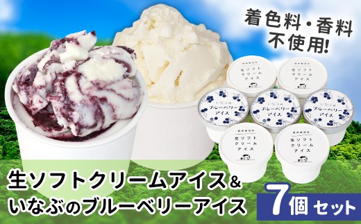 〈1週間以内発送〉素材にとことんこだわったアイスセット！生ソフトクリーム＆稲武のブルーベリーアイス (80ml)×7個セット  根羽村 ネバーランド 6000円