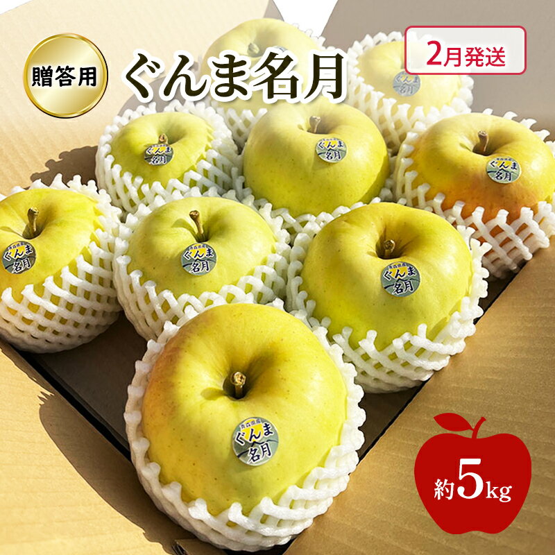 【ふるさと納税】【2月発送】 りんご ぐんま名月 贈答用 約 5kg 林檎 フルーツ 果物 ギフト 青森県 鶴田町　お届け：2027年2月上旬から2月下旬