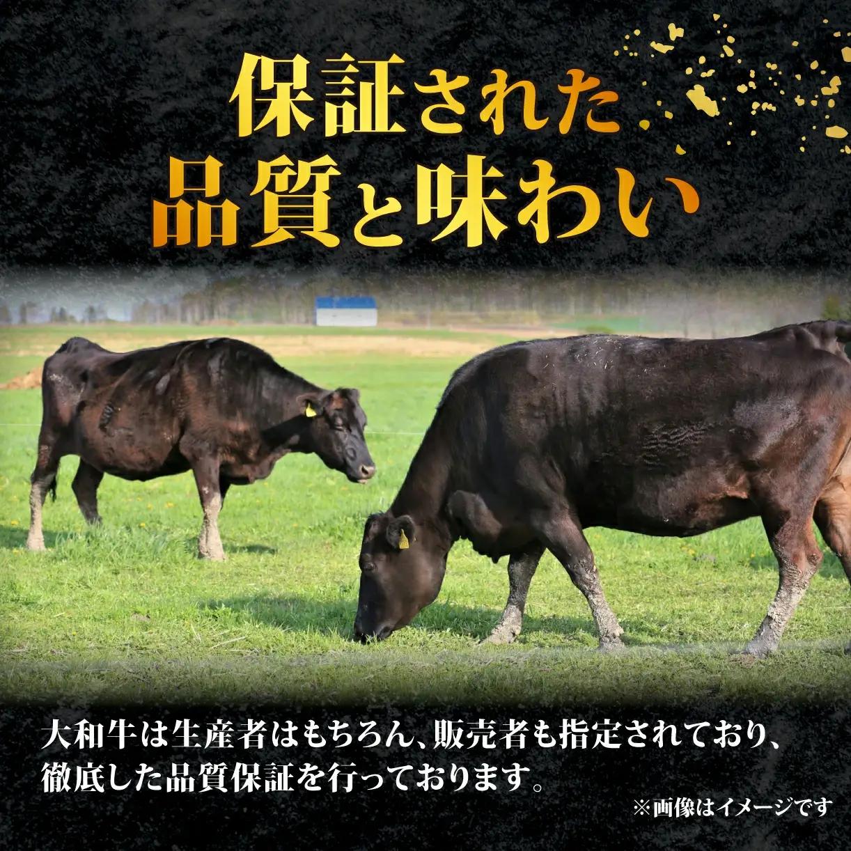 大和牛 牛ヒレ 肉 130g×5枚 ヒレステーキ yma005