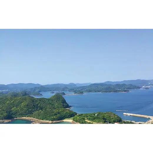 九十九島くえだし茶漬け（くえ・しまあじ・真鯛）