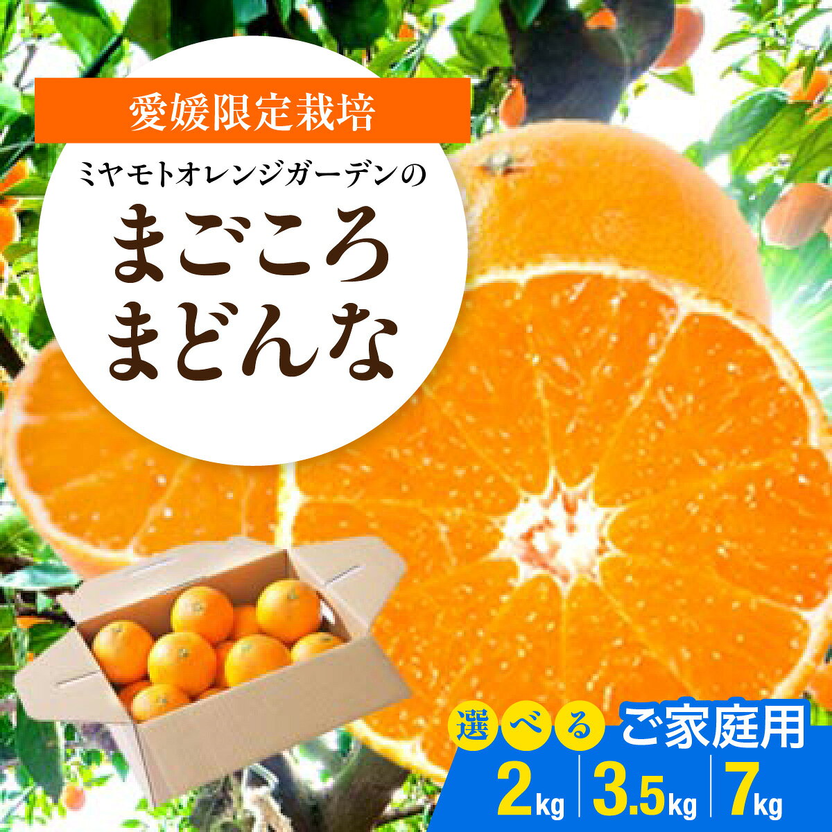 【ふるさと納税】【先行受付】【ご家庭用】紅まどんな と同品種 愛媛果試28号 選べる内容量（ 2kg / 3.5kg / 7kg ) 八幡浜市【D25-372】【G1717457】YWTAP313