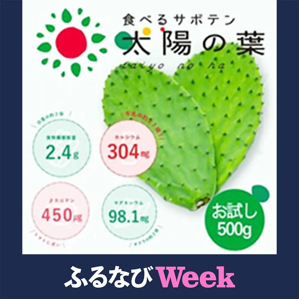 【期間限定】食べるサボテン 太陽の葉 フレッシュリーフ(新芽限定・お試し500g)