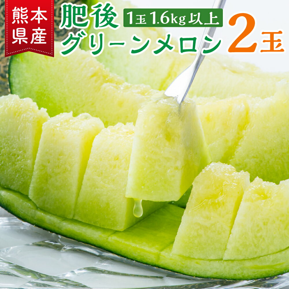 【ふるさと納税】 肥後グリーン メロン 2玉 合計3.2kg以上 1玉あたり1.6kg以上 めろん くだもの 果物 フルーツ 果肉 果実 おやつ 熊本市産 熊本県産 九州産 国産 先行予約 送料無料 【2025年5月下旬～6月上旬発送予定】