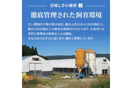 秋田県産比内地鶏肉 焼き鳥の定期便(30本×3ヶ月)(焼鳥 3ヶ月 もも肉 むね肉) 鶏肉焼き鳥 