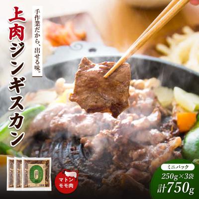 ふるさと納税 新十津川町 大畠精肉店の上肉じんぎすかんミニパック250g×3袋(計750g)【13022】
