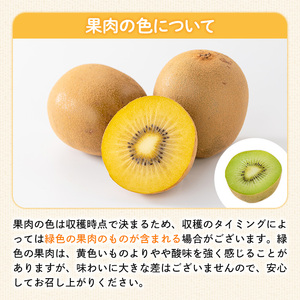 ＜先行予約！2026年10月中旬以降順次発送予定＞《贈答用・大玉厳選》 香川県産 さぬきゴールドキウイ(約1.4kg・化粧箱) 国産 果物 フルーツ キウイフルーツ 【man064】【Aglio ne