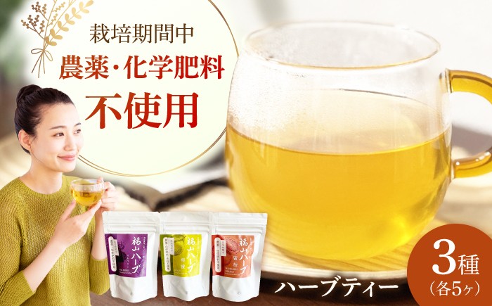 心と身体を癒す福山ハーブティー 紅茶 ハーブ 茶葉 健康 詰合せ 詰め合わせ