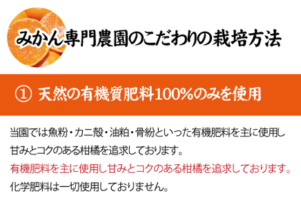 ミカン 蜜柑 柑橘 フルーツ くだもの 果物 / 【2024年秋頃発送予約分】【農家直送】こだわりの青切りみかん 約7.5kg サイズお任せ 有機質肥料100%　※2024年9月下旬より順次発送予定（