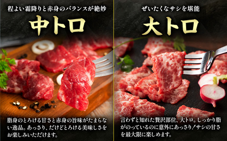 馬肉 熊本特産 フジチクオリジナル 特選 馬刺し 8種 セット 道の駅竜北  熊本県 氷川町 肉 馬肉 メン 大トロ 中トロ ヒレ シャトーブリアン ロース ランプ 上赤身 ネギトロ ふじ馬刺し セッ