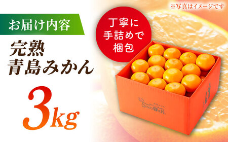 【先行予約】完熟 青島 みかん 約3kg【合同会社 社方園】九州産みかん ミカン 柑橘  国産  山鹿 果物 フルーツ [ZBZ011]