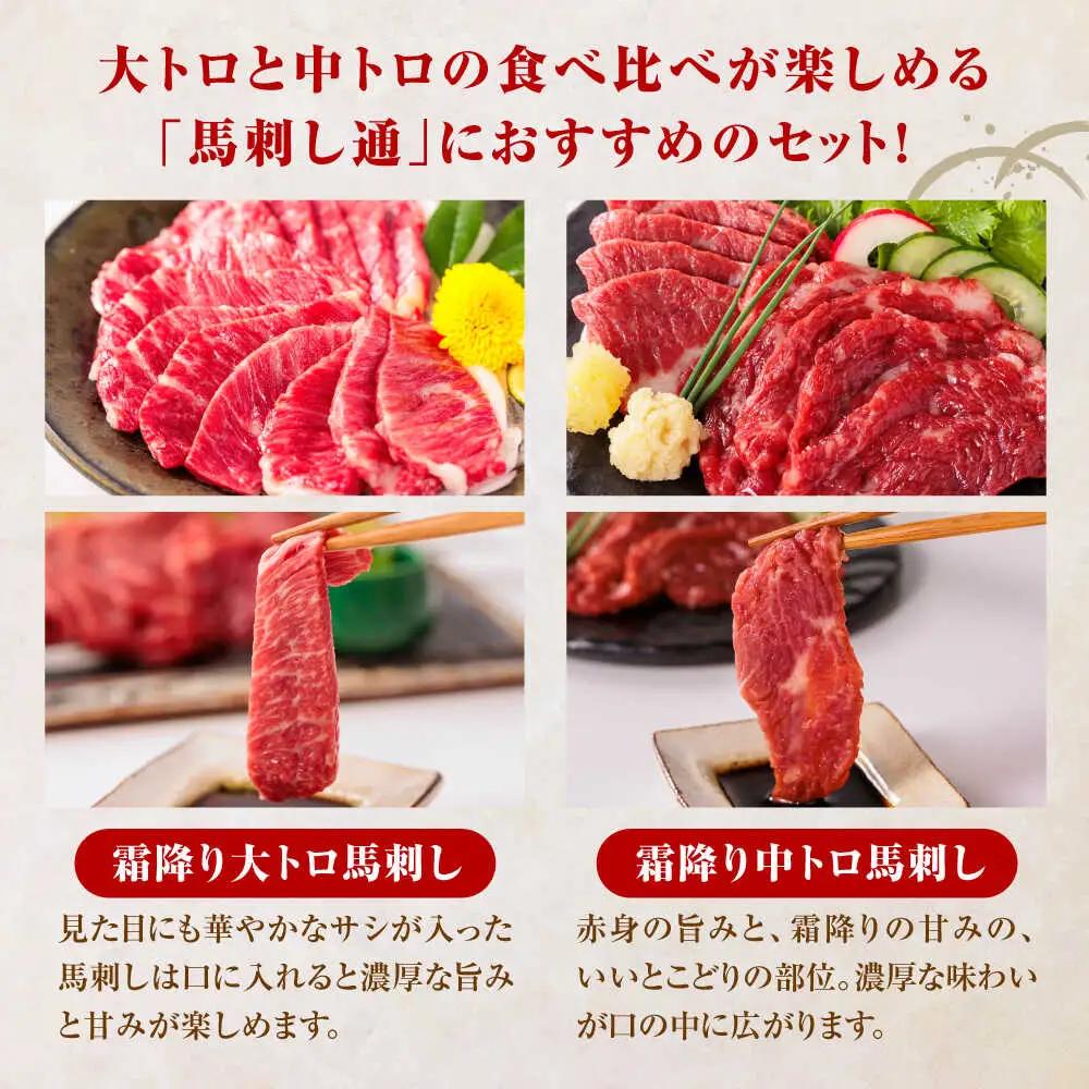 【全6回定期便】国産 霜降り馬刺し2種セット 約500g 馬刺し[AYBP007]