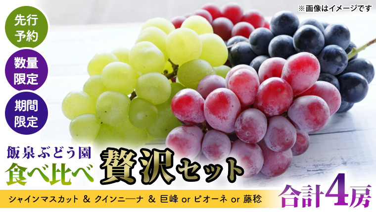 
            【 先行予約 】【 数量限定 】【 期間限定 】絶品！飯泉ぶどう園の おすすめ ぶどう 4種 （ シャインマスカット ＆ クインニ―ナ ＆ 巨峰 or ピオーネ or 藤稔 ）食べ比べ 贅沢セット（ 合計 4房 ） 2025年8月下旬～発送開始 シャインマスカット クインニ―ナ 巨峰 ピオーネ 藤稔 贅沢 飯泉ぶどう園 産直 新鮮 採れたて ふるさと納税
          