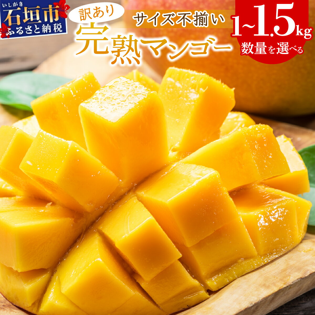 【ふるさと納税】【2026年7月上旬から順次発送】【訳あり】選べる数量　サイズ不揃い　2〜3玉 (約1kg) / 3〜5玉(約1.5kg)　訳あり品　マンゴー｜ マンゴー 訳アリ フルーツ 規格外 傷 色むら 沖縄県 石垣市 送料無料 KP-26,KP-27