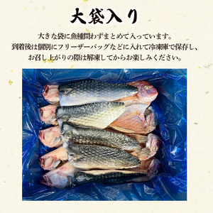 【訳あり】 干物 約2.8kg 詰め合わせ 干物