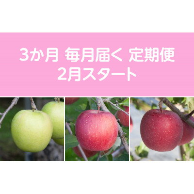 【ふるさと納税】【発送月固定定期便】〈2027年2月より順次発送〉甘味系・青森りんご約5kg 全3回【配送不可地域：離島・沖縄県】【4051698】