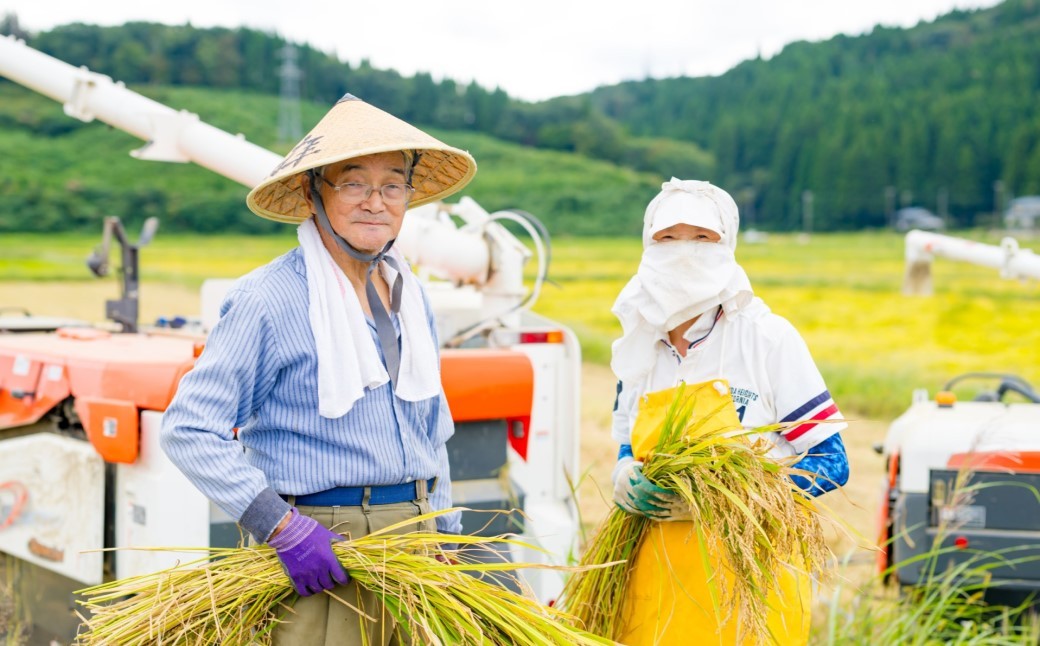 
                  R7年産 関川村産こしひかり 精米5kg ふっくら美味しさ 岩船米 [横山農産]_白米 国産米 高品質 ごはん 美味しい 人気 おすすめ 送料無料【1638512】
                